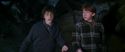 CS-Potterish_07397.jpg