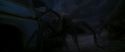 CS-Potterish_07403.jpg