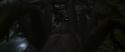 CS-Potterish_07414.jpg