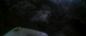 CS-Potterish_07419.jpg
