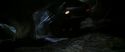 CS-Potterish_07421.jpg