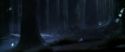 CS-Potterish_07462.jpg