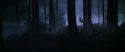 CS-Potterish_07492.jpg