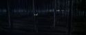 CS-Potterish_07494.jpg