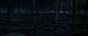 CS-Potterish_07499.jpg