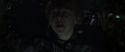 CS-Potterish_07511.jpg