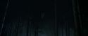 CS-Potterish_07534.jpg