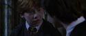CS-Potterish_07670.jpg