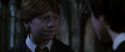 CS-Potterish_07678.jpg