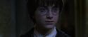 CS-Potterish_07692.jpg