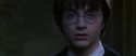 CS-Potterish_07695.jpg
