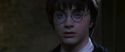 CS-Potterish_07696.jpg