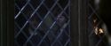 CS-Potterish_07699.jpg