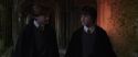 CS-Potterish_07716.jpg