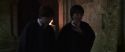 CS-Potterish_07724.jpg