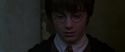 CS-Potterish_07734.jpg