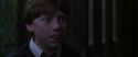 CS-Potterish_07743.jpg