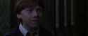 CS-Potterish_07744.jpg