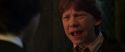 CS-Potterish_07757.jpg