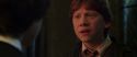 CS-Potterish_07765.jpg