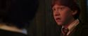 CS-Potterish_07785.jpg