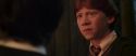CS-Potterish_07787.jpg