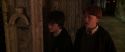 CS-Potterish_07810.jpg