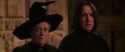 CS-Potterish_07836.jpg