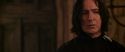 CS-Potterish_07874.jpg