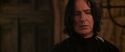 CS-Potterish_07875.jpg