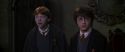 CS-Potterish_07906.jpg