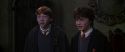 CS-Potterish_07907.jpg