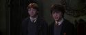 CS-Potterish_07908.jpg