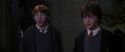 CS-Potterish_07913.jpg