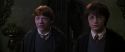 CS-Potterish_07922.jpg