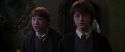 CS-Potterish_07924.jpg