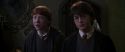 CS-Potterish_07926.jpg