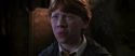 CS-Potterish_07951.jpg