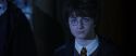 CS-Potterish_08017.jpg