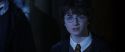 CS-Potterish_08022.jpg