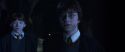 CS-Potterish_08064.jpg