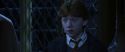 CS-Potterish_08141.jpg