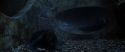 CS-Potterish_08239.jpg