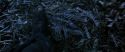 CS-Potterish_08251.jpg