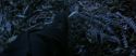 CS-Potterish_08252.jpg
