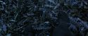 CS-Potterish_08253.jpg
