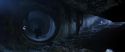 CS-Potterish_08267.jpg