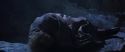 CS-Potterish_08293.jpg