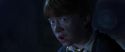 CS-Potterish_08296.jpg