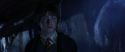 CS-Potterish_08313.jpg